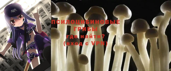 PSILOCYBIN Арсеньев
