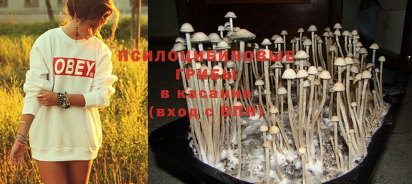 PSILOCYBIN Арсеньев
