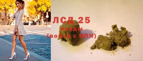 PSILOCYBIN Арсеньев
