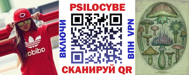 Галлюциногенные грибы Psilocybine cubensis  Спасск-Рязанский 